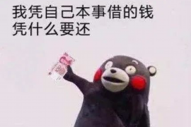 小金小金讨债公司服务