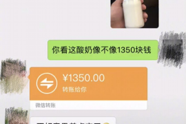 小金专业催债公司的市场需求和前景分析